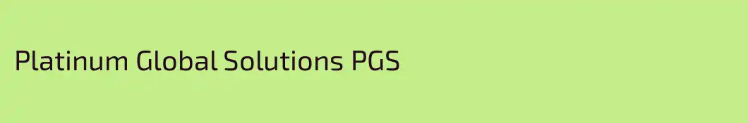 Platinum Global Solutions PGS